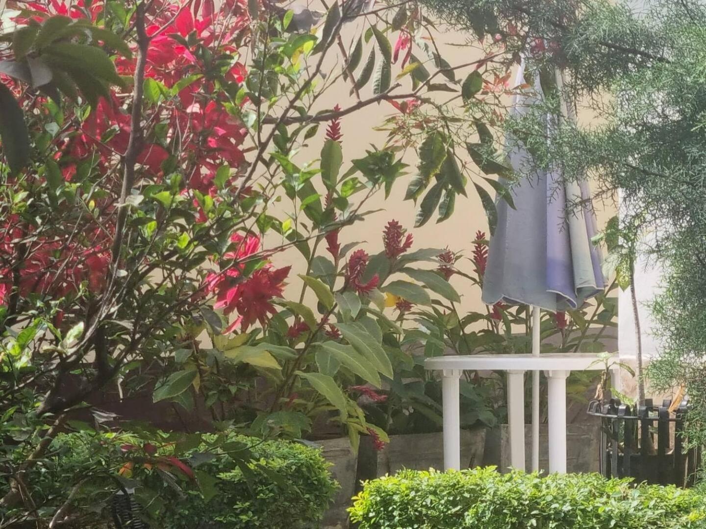 Tout Confort Avec Jardin Entree Bastos Yaoundé Εξωτερικό φωτογραφία