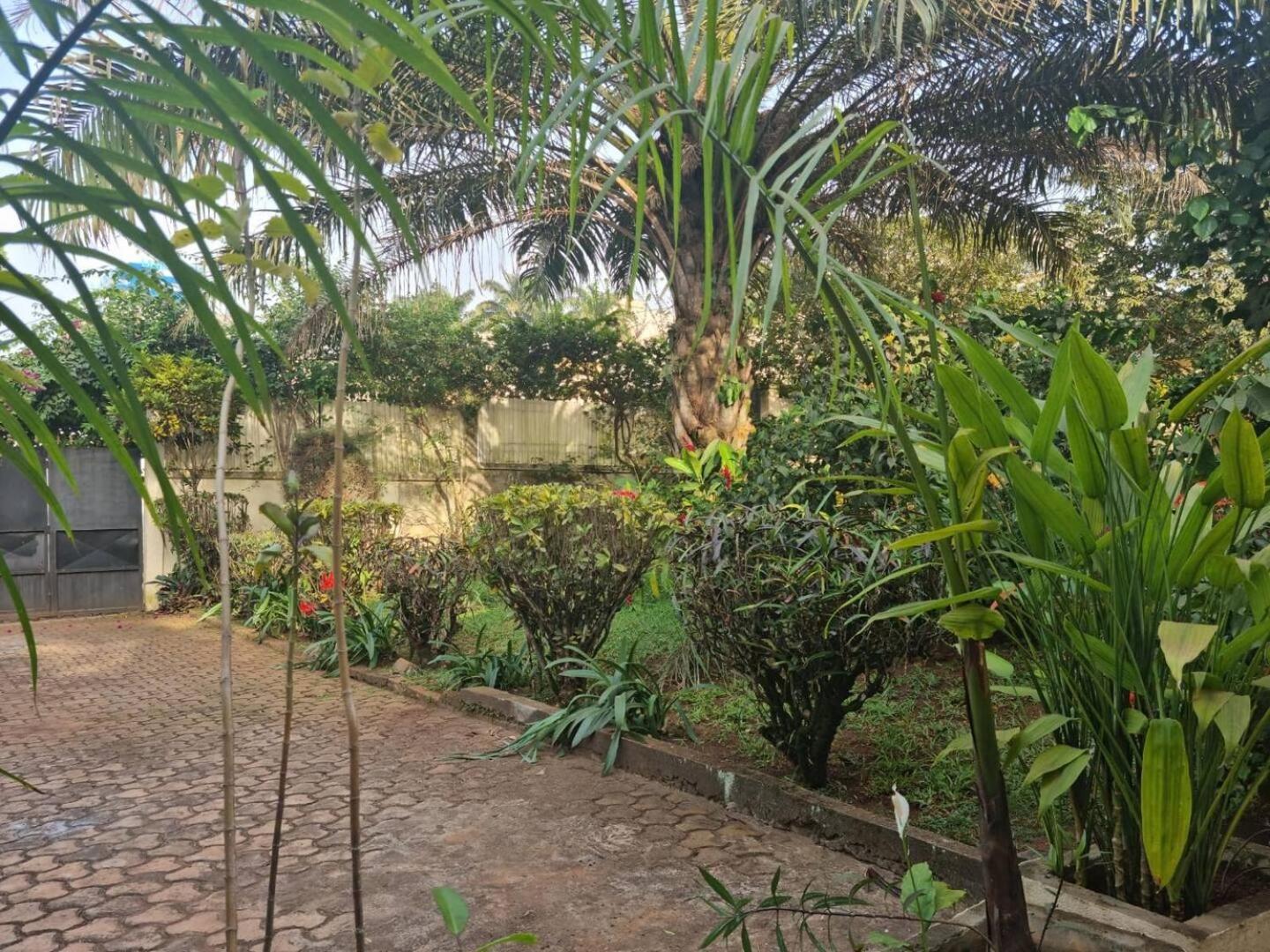 Tout Confort Avec Jardin Entree Bastos Yaoundé Εξωτερικό φωτογραφία