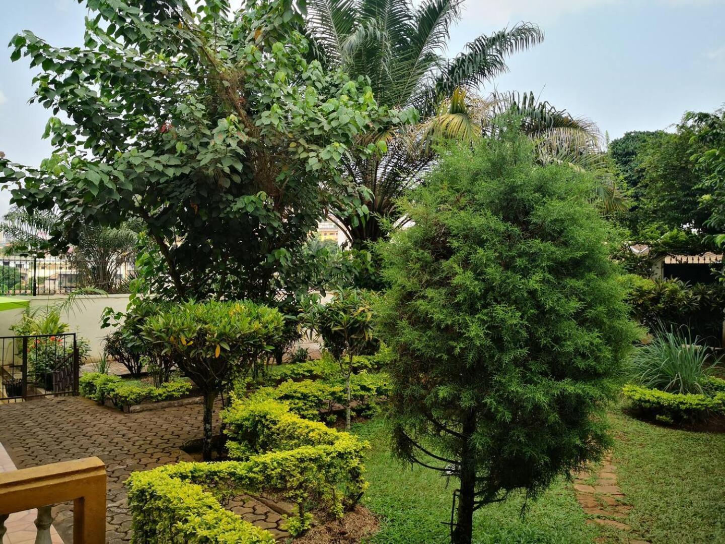 Tout Confort Avec Jardin Entree Bastos Yaoundé Εξωτερικό φωτογραφία